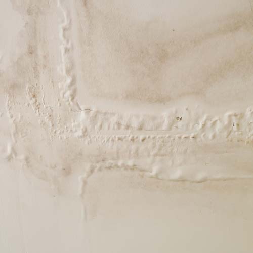 Water Damage & Leaks